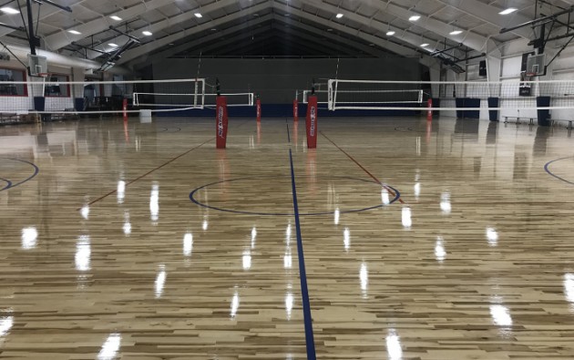 Volleyball location photo stl